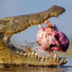 Illustration for article titled Wildlife Photo Contest Shows Nature Can Be Cruel—But Also Kind